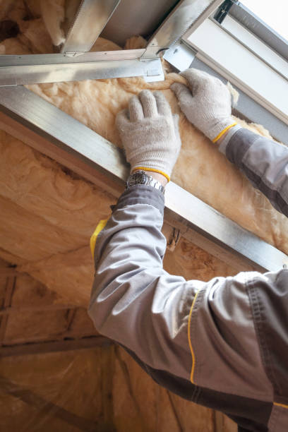 Best Commercial Insulation in Northeast Ithaca, NY