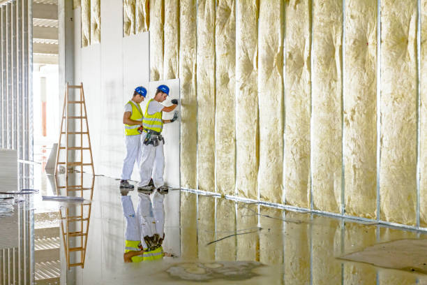 Best Eco-Friendly Insulation in Northeast Ithaca, NY
